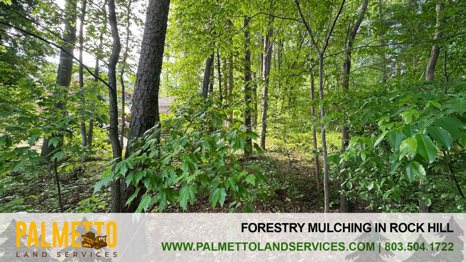 Forestry Mulching In Rock Hill